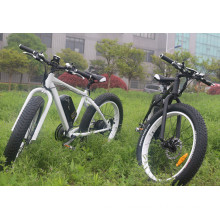 Hot Selling Fat Tire Mountain E-Bike Made in China